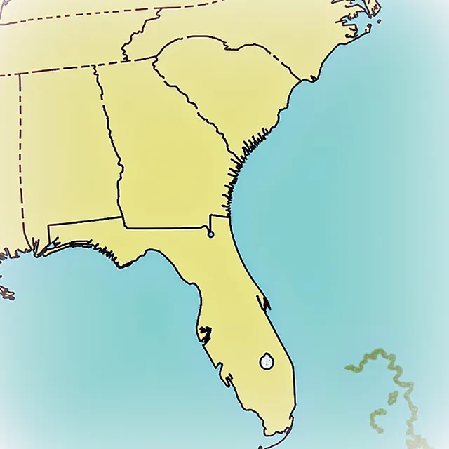 thumbnail for publication: Valuing Florida Water Resources: Summary by Regions